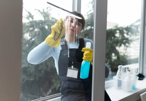 Nettoyage de vitres intérieures et extérieures à Thianges